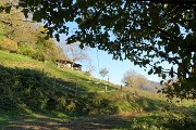 55 A questo punto dalla strada si passa al sentiero nel bosco a sx